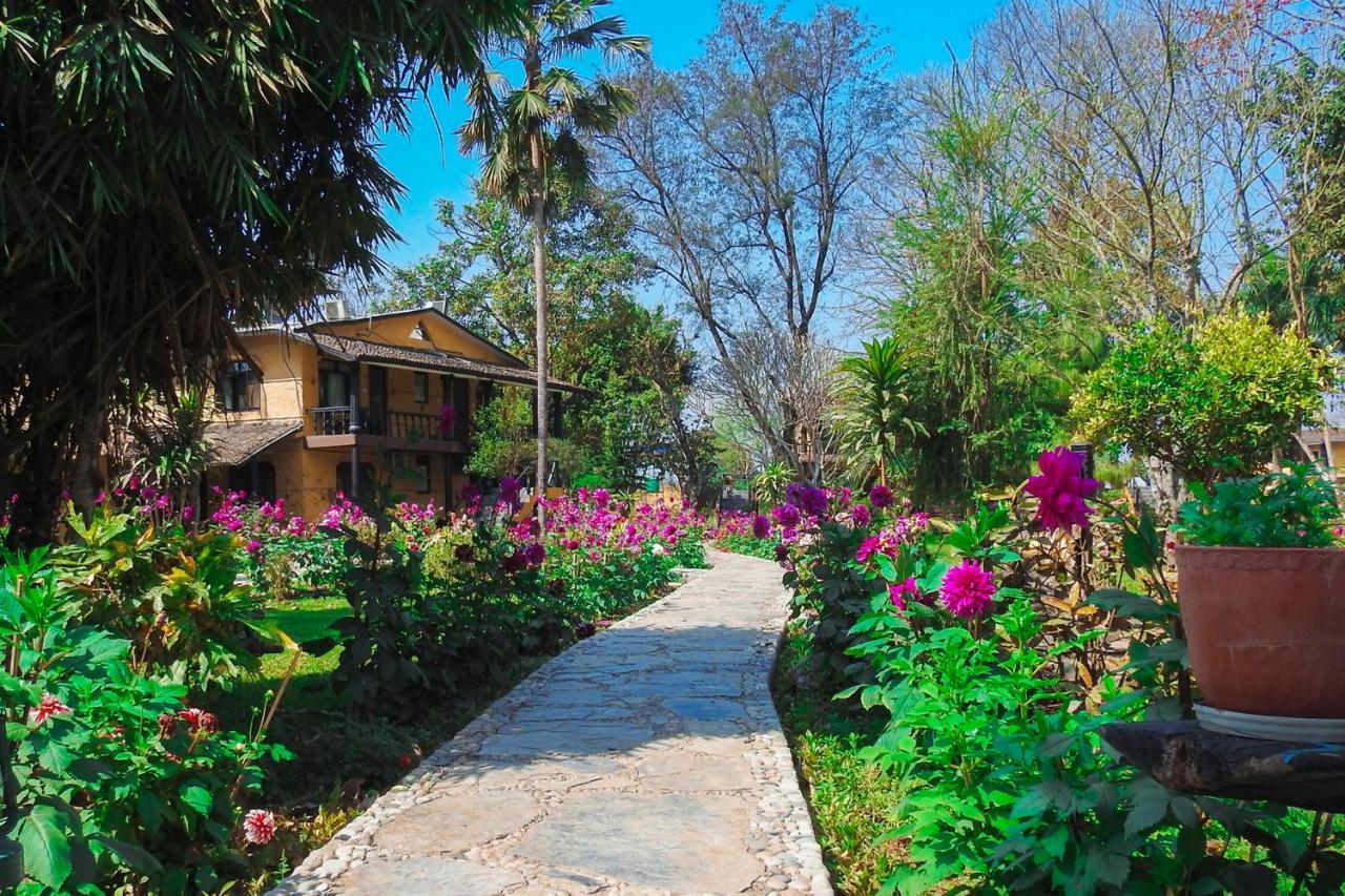 Sapana Village Lodge Sauraha Extérieur photo